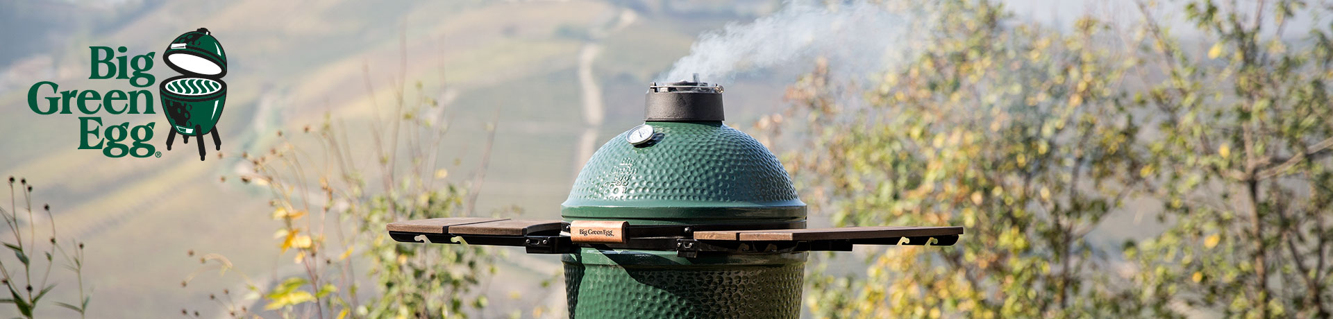 big green egg aqua-saar